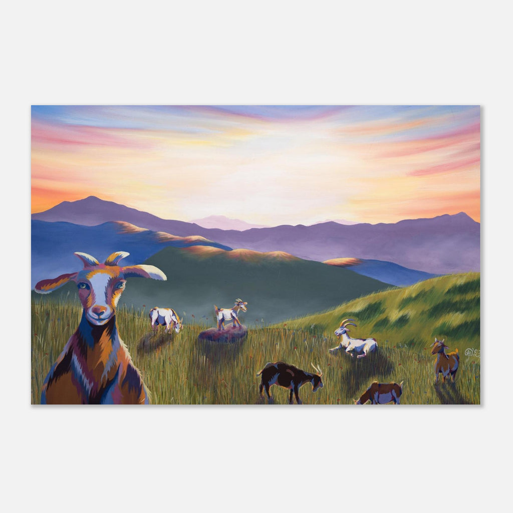 35b96626-41c5-445c-b2d2-3bca641fd3d3