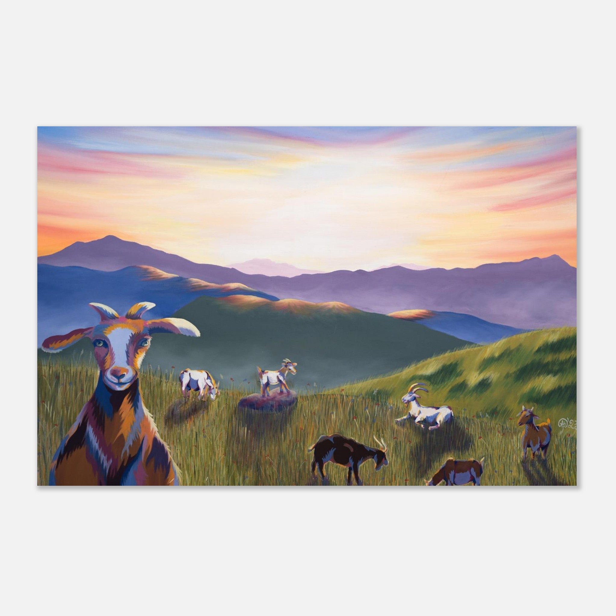 35b96626-41c5-445c-b2d2-3bca641fd3d3